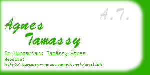 agnes tamassy business card